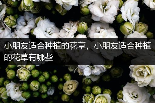 小朋友适合种植的花草，小朋友适合种植的花草有哪些