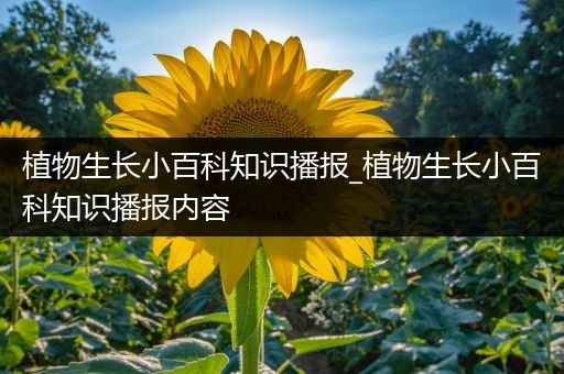 植物生长小百科知识播报_植物生长小百科知识播报内容