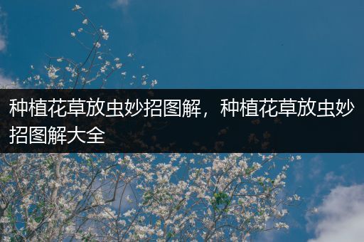种植花草放虫妙招图解，种植花草放虫妙招图解大全