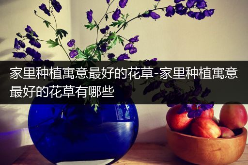 家里种植寓意最好的花草-家里种植寓意最好的花草有哪些