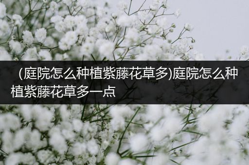 （庭院怎么种植紫藤花草多)庭院怎么种植紫藤花草多一点