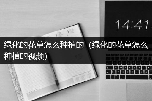 绿化的花草怎么种植的（绿化的花草怎么种植的视频）