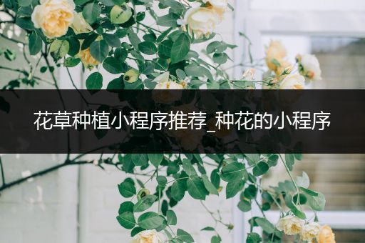 花草种植小程序推荐_种花的小程序