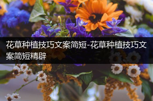 花草种植技巧文案简短-花草种植技巧文案简短精辟