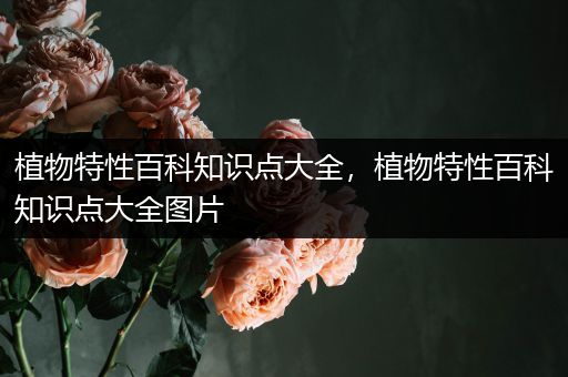 植物特性百科知识点大全，植物特性百科知识点大全图片