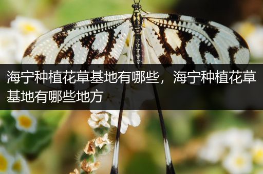 海宁种植花草基地有哪些，海宁种植花草基地有哪些地方