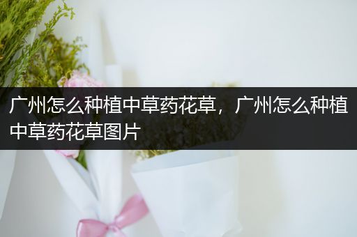 广州怎么种植中草药花草，广州怎么种植中草药花草图片