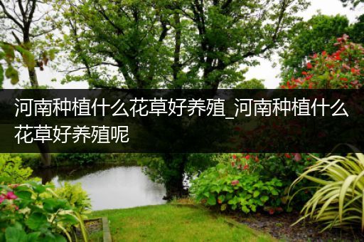 河南种植什么花草好养殖_河南种植什么花草好养殖呢