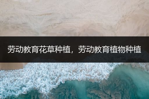 劳动教育花草种植，劳动教育植物种植