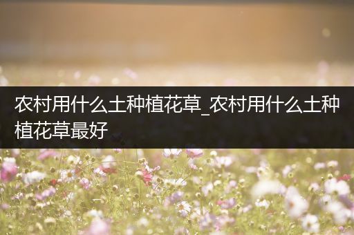 农村用什么土种植花草_农村用什么土种植花草最好