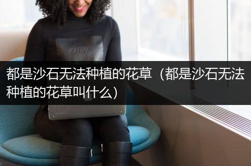 都是沙石无法种植的花草（都是沙石无法种植的花草叫什么）