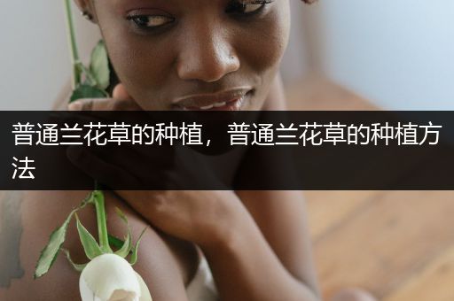普通兰花草的种植，普通兰花草的种植方法