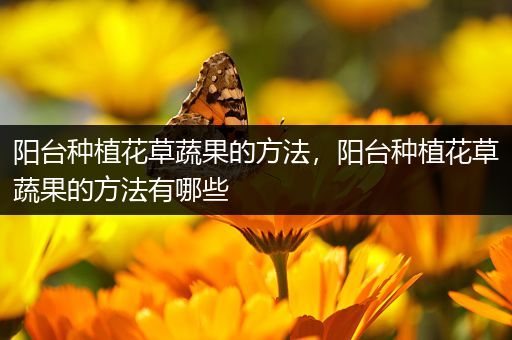 阳台种植花草蔬果的方法，阳台种植花草蔬果的方法有哪些