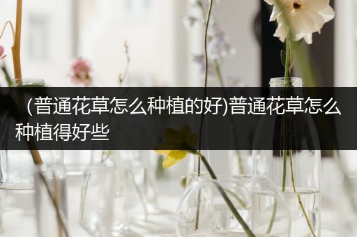（普通花草怎么种植的好)普通花草怎么种植得好些
