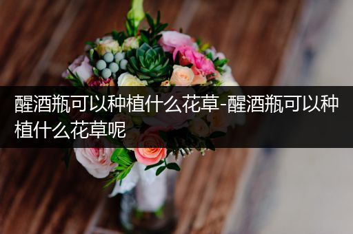 醒酒瓶可以种植什么花草-醒酒瓶可以种植什么花草呢