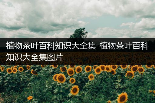 植物茶叶百科知识大全集-植物茶叶百科知识大全集图片