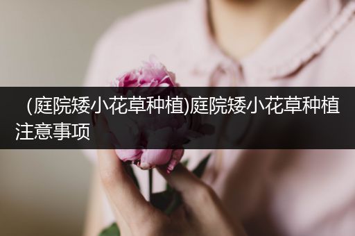 （庭院矮小花草种植)庭院矮小花草种植注意事项
