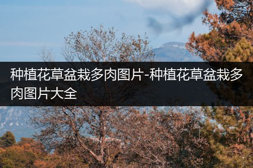 种植花草盆栽多肉图片-种植花草盆栽多肉图片大全