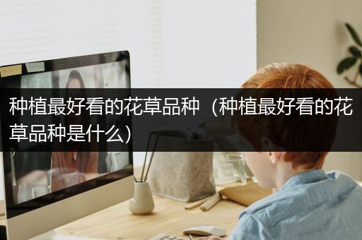 种植最好看的花草品种（种植最好看的花草品种是什么）