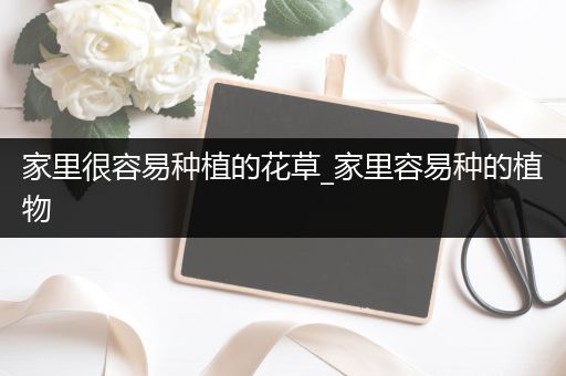家里很容易种植的花草_家里容易种的植物
