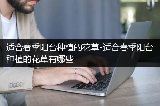 适合春季阳台种植的花草-适合春季阳台种植的花草有哪些
