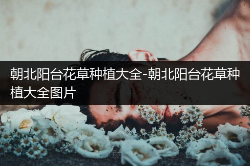 朝北阳台花草种植大全-朝北阳台花草种植大全图片