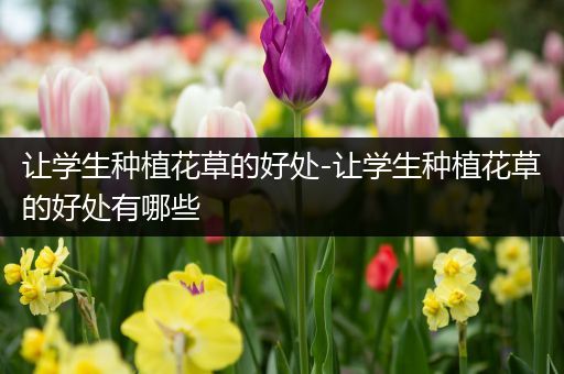 让学生种植花草的好处-让学生种植花草的好处有哪些