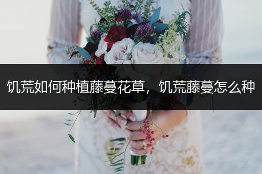 饥荒如何种植藤蔓花草，饥荒藤蔓怎么种