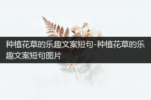 种植花草的乐趣文案短句-种植花草的乐趣文案短句图片