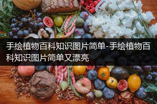 手绘植物百科知识图片简单-手绘植物百科知识图片简单又漂亮