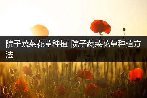 院子蔬菜花草种植-院子蔬菜花草种植方法