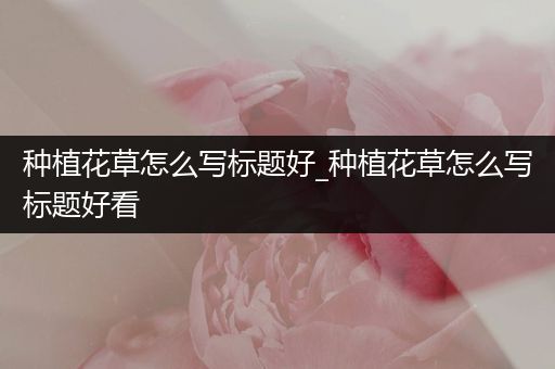 种植花草怎么写标题好_种植花草怎么写标题好看