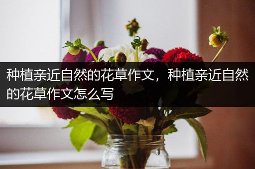 种植亲近自然的花草作文，种植亲近自然的花草作文怎么写