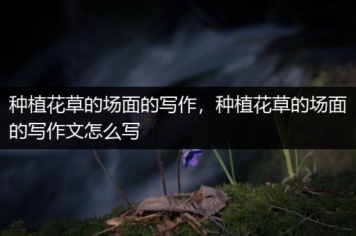 种植花草的场面的写作，种植花草的场面的写作文怎么写