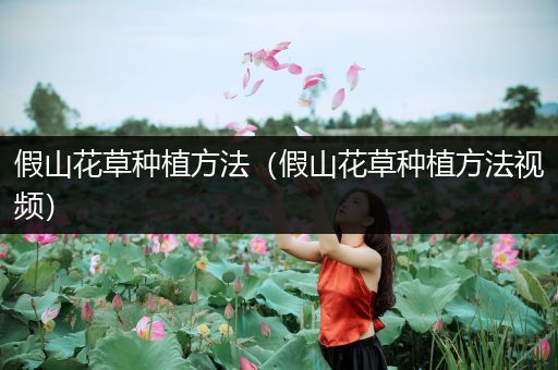 假山花草种植方法（假山花草种植方法视频）