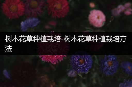 树木花草种植栽培-树木花草种植栽培方法