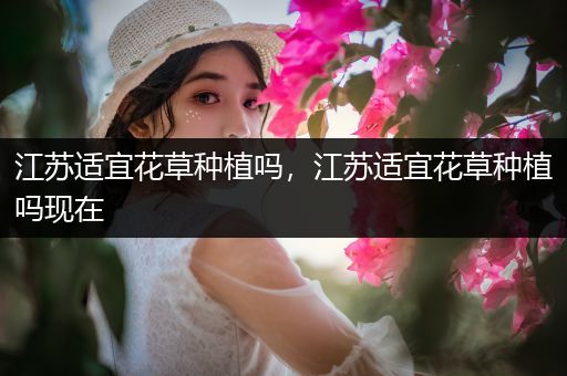 江苏适宜花草种植吗，江苏适宜花草种植吗现在