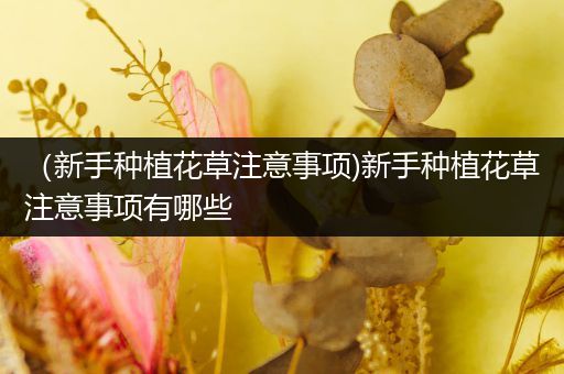 （新手种植花草注意事项)新手种植花草注意事项有哪些