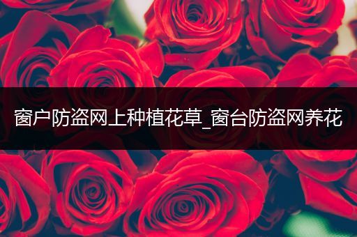 窗户防盗网上种植花草_窗台防盗网养花