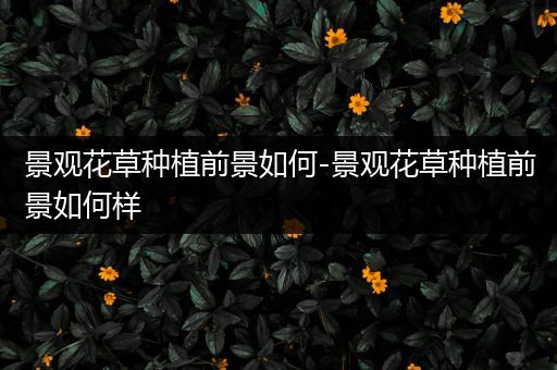 景观花草种植前景如何-景观花草种植前景如何样