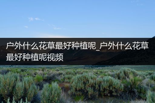 户外什么花草最好种植呢_户外什么花草最好种植呢视频