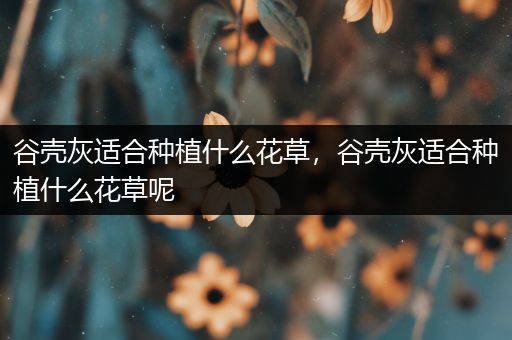 谷壳灰适合种植什么花草，谷壳灰适合种植什么花草呢