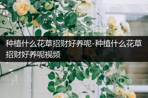 种植什么花草招财好养呢-种植什么花草招财好养呢视频