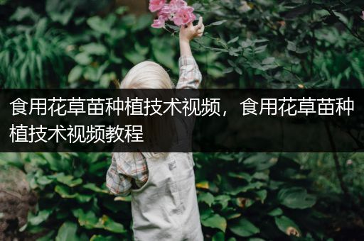 食用花草苗种植技术视频，食用花草苗种植技术视频教程