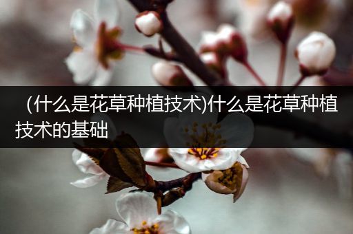 （什么是花草种植技术)什么是花草种植技术的基础