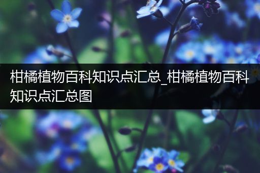 柑橘植物百科知识点汇总_柑橘植物百科知识点汇总图