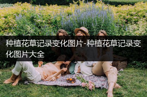 种植花草记录变化图片-种植花草记录变化图片大全