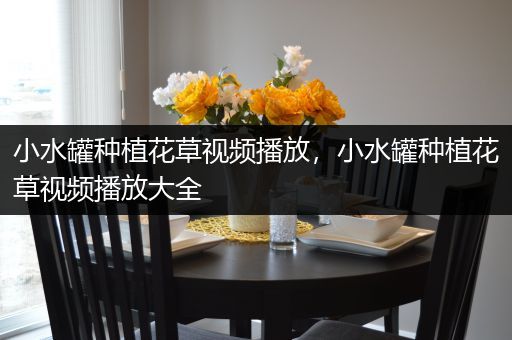 小水罐种植花草视频播放，小水罐种植花草视频播放大全