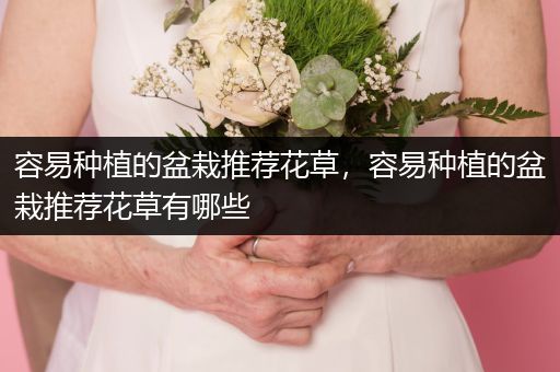 容易种植的盆栽推荐花草，容易种植的盆栽推荐花草有哪些