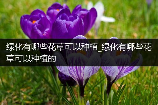 绿化有哪些花草可以种植_绿化有哪些花草可以种植的